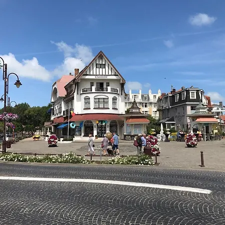 Celine 0101 Beautiful With Sea View De Haan
